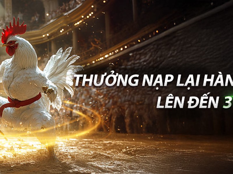 Hoàn trả hàng ngày km3888b
