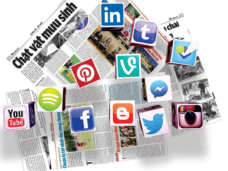 Tầm quan trọng của phản hồi cộng đồng đối với km3888b